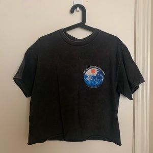 Brandy Melville washed black cropped t-shirt